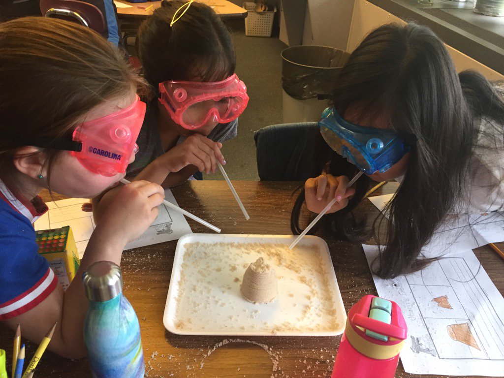 Nandita Manchanda tweet media