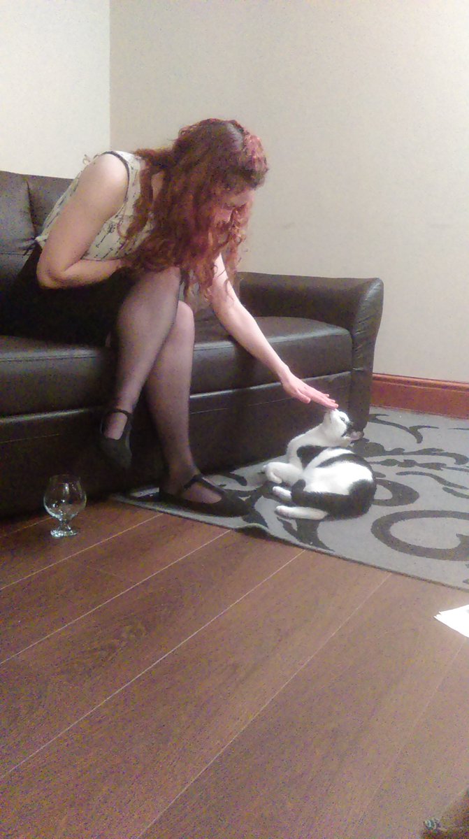 Conceptual_Arts's tweet image. And here we find the timid actor, easily destracted by cute and fluffy creatures found at some rehearsals #cats #rehearsals #actors #theatre