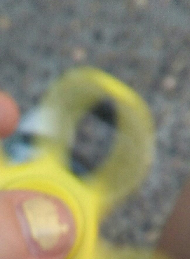 __Kylene's tweet photo. Le estaba haciendo fotos al spinner en movimiento cuando de repente: https://t.co/ts5ncQw9TR