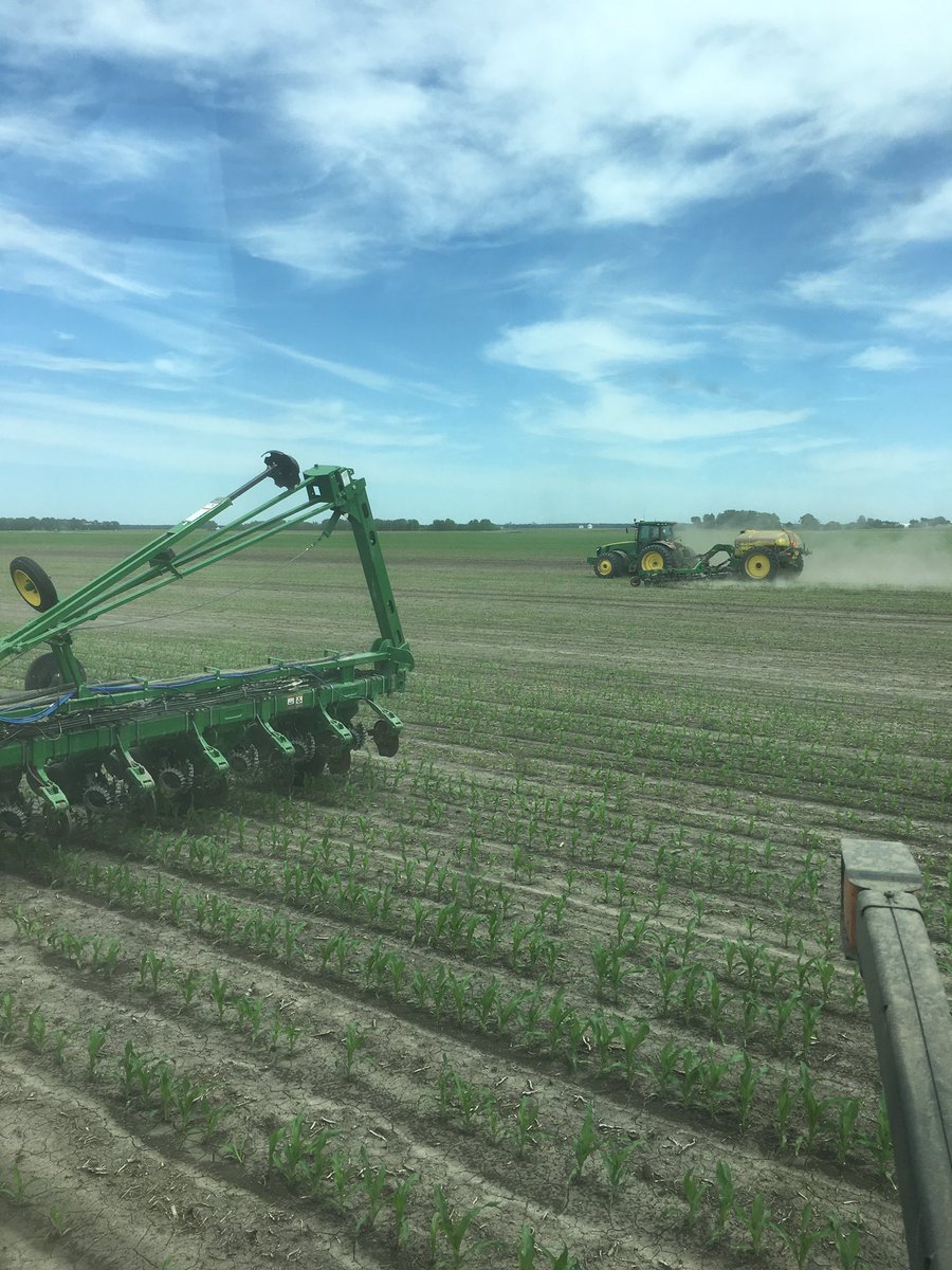 CraigPaulek's tweet photo. This pretty much sums up crop conditions in central Illinois https://t.co/dJsIrxTcTu