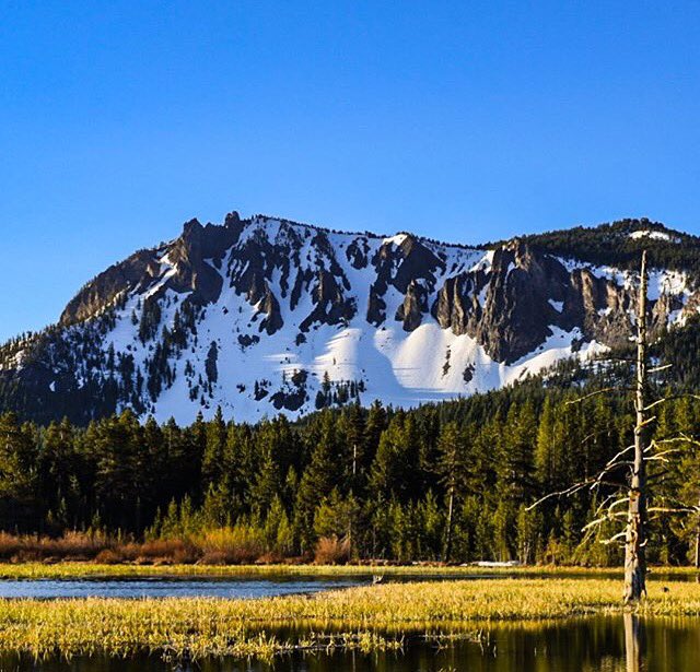 Oregon