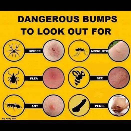 free_chat_girls's tweet image. #Danger:
This is a very important announcement.
(#PleaseReview)
#bumps #sexchat #AdultChat #phonechat
talk121.chat