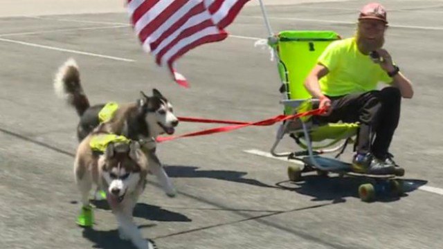 CookieSaysWoof's tweet photo. #DoggyNews: Man travels across the country with two dogs instead of a car https://t.co/3p5z2w7mkZ #dogsoftwitter #dogcelebration #dogtweets https://t.co/cFuOnCWRTh