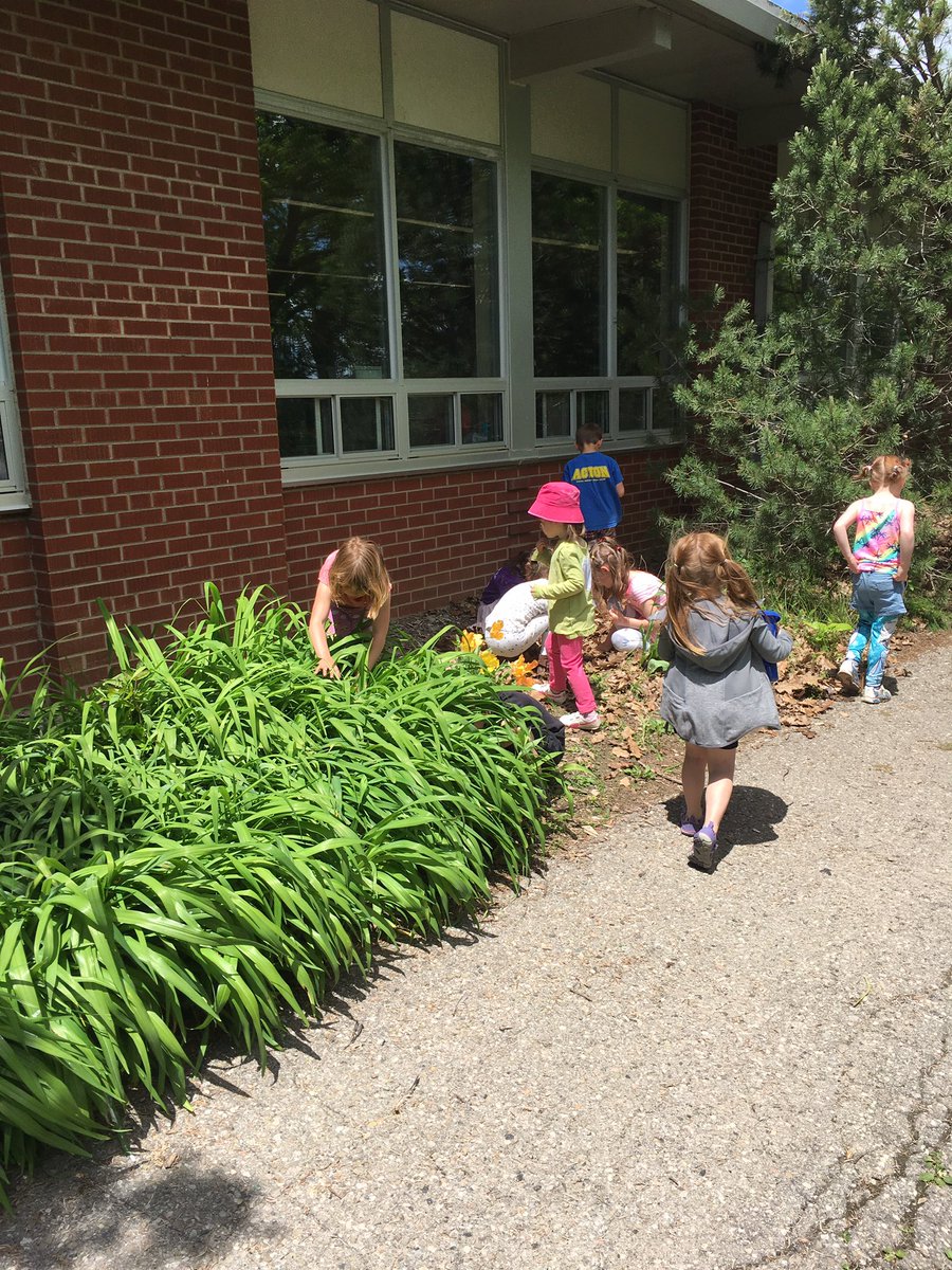 jenn_scott2's tweet photo. Learning and growing in the outdoors  with kindergarten @LimehousePS #lovemyhaltonschool https://t.co/z0vuBsbTqy