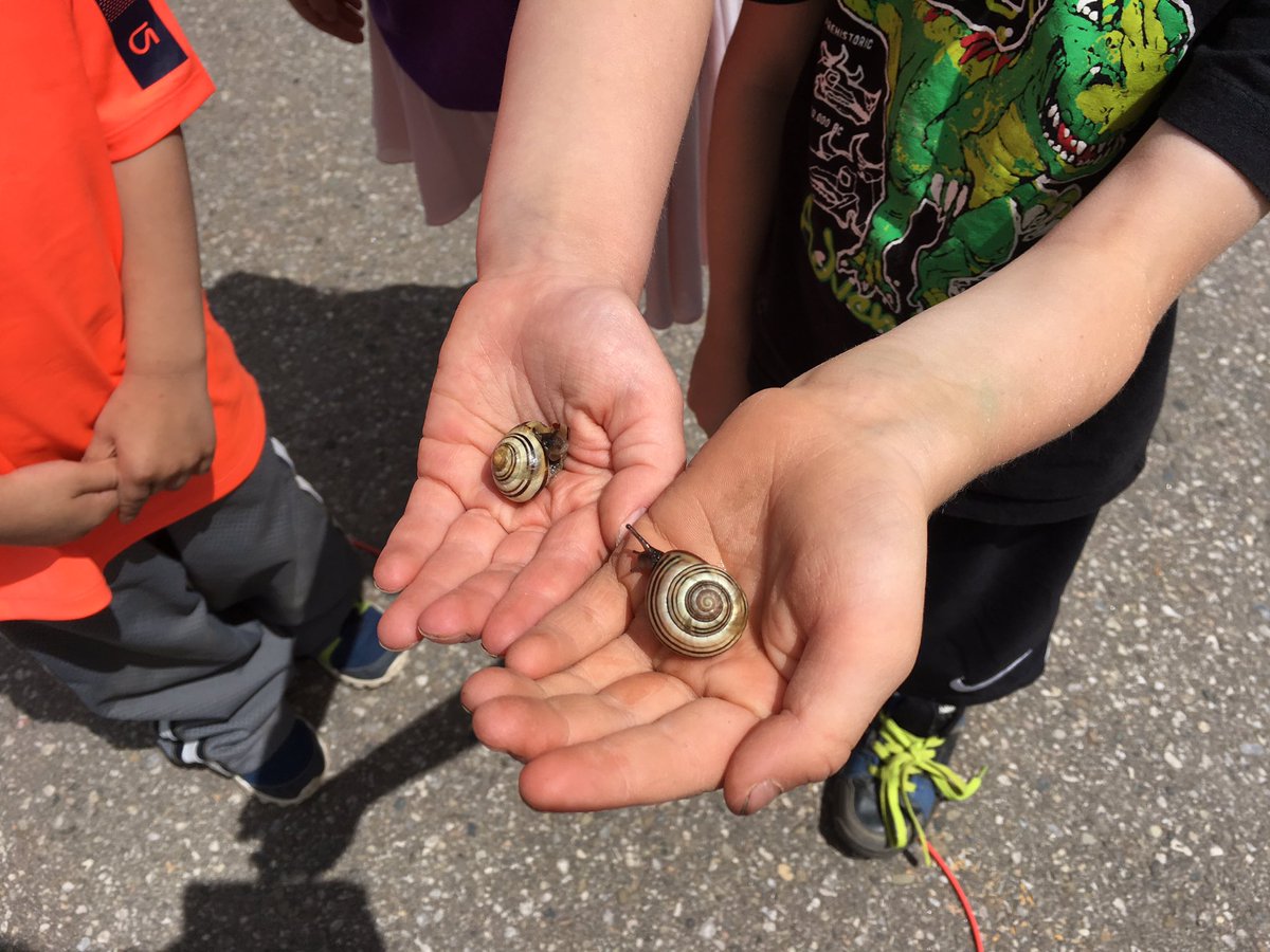 jenn_scott2's tweet photo. Learning and growing in the outdoors  with kindergarten @LimehousePS #lovemyhaltonschool https://t.co/z0vuBsbTqy