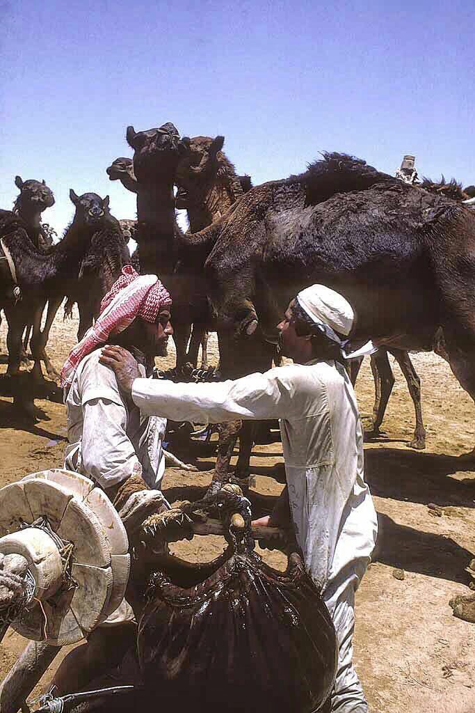 b5b's tweet photo. كان هذا حال اهل الجزيرة العربية قبل 85 فقط
نحمد الله أن منّ الله علينا بهذي النعم التي نحن بها فحافظوا عليها
فأن النعم لا تدوم الا بالشكر https://t.co/NChcMxJmNO