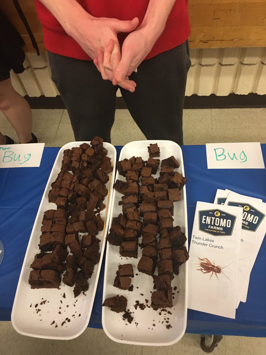 mommakatpayne's tweet photo. More from our event! @EntomoFarms  @TwinxEntomo @SCDSB_SHSM @Itoor_SCDSB https://t.co/JvUFqK9MyR