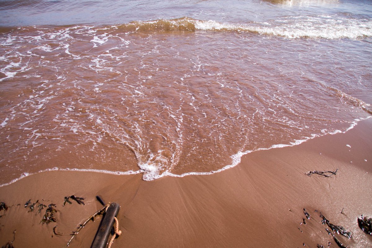 juliabragg_'s tweet photo. Fly me to #CTAConf @unbounce and make me love Vancouver as much as I love Prince Edward Island! https://t.co/mKNA1mQWQ9