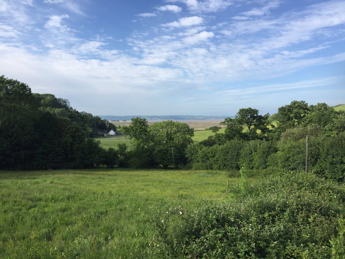 TwinHaunts's tweet photo. Is this the best #beergarden view in the country? Awesome spot in the sun for an #eveningbeer and tasty food thanks to @Britannia_Gower https://t.co/yqhWwrxWjy