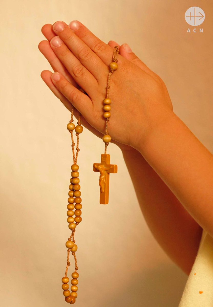 Refuerza "la buena batalla de la fe" para los cristianos perseguidos. Boletines de ACN-México issuu.com/acnmex