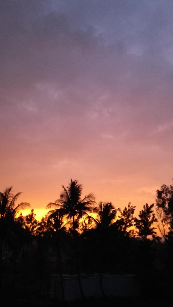 Me_Archana27's tweet photo. A perfect sunset...to raise again 🌅🌅#Nashik #Rain #naturelove #bestclickever #blessed #photographylove #perfectview 😇😉😍😍 https://t.co/GL9OhHkIQM