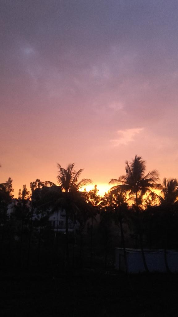 Me_Archana27's tweet photo. A perfect sunset...to raise again 🌅🌅#Nashik #Rain #naturelove #bestclickever #blessed #photographylove #perfectview 😇😉😍😍 https://t.co/GL9OhHkIQM