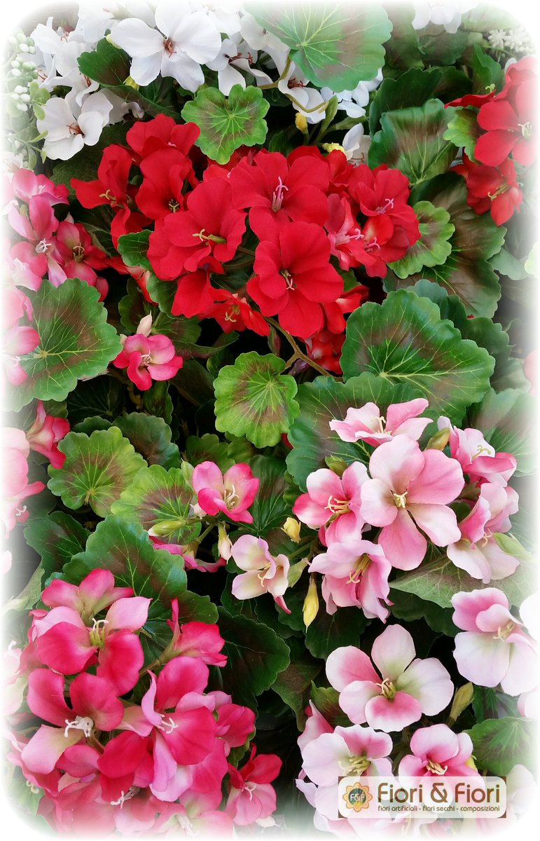 È arrivato il nuovo geranio artificiale pelargonium in 4 colorazioni diverse, di ottima qualità e fattura.