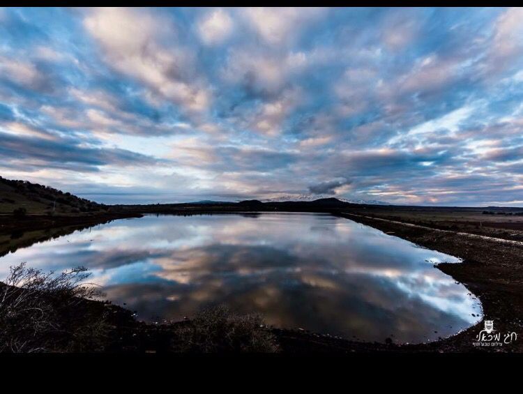 IsraeliAwesome's tweet photo. The scenery of northern Israel https://t.co/Ib98mWyVwJ