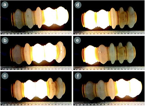 asithakal's tweet image. &quot;Using Voice Coils to Actuate Modular #SoftRobots: #Wormbot, an Example&quot; READ NOW: ow.ly/xQH930aZOkO… dlvr.it/PJ1YWh