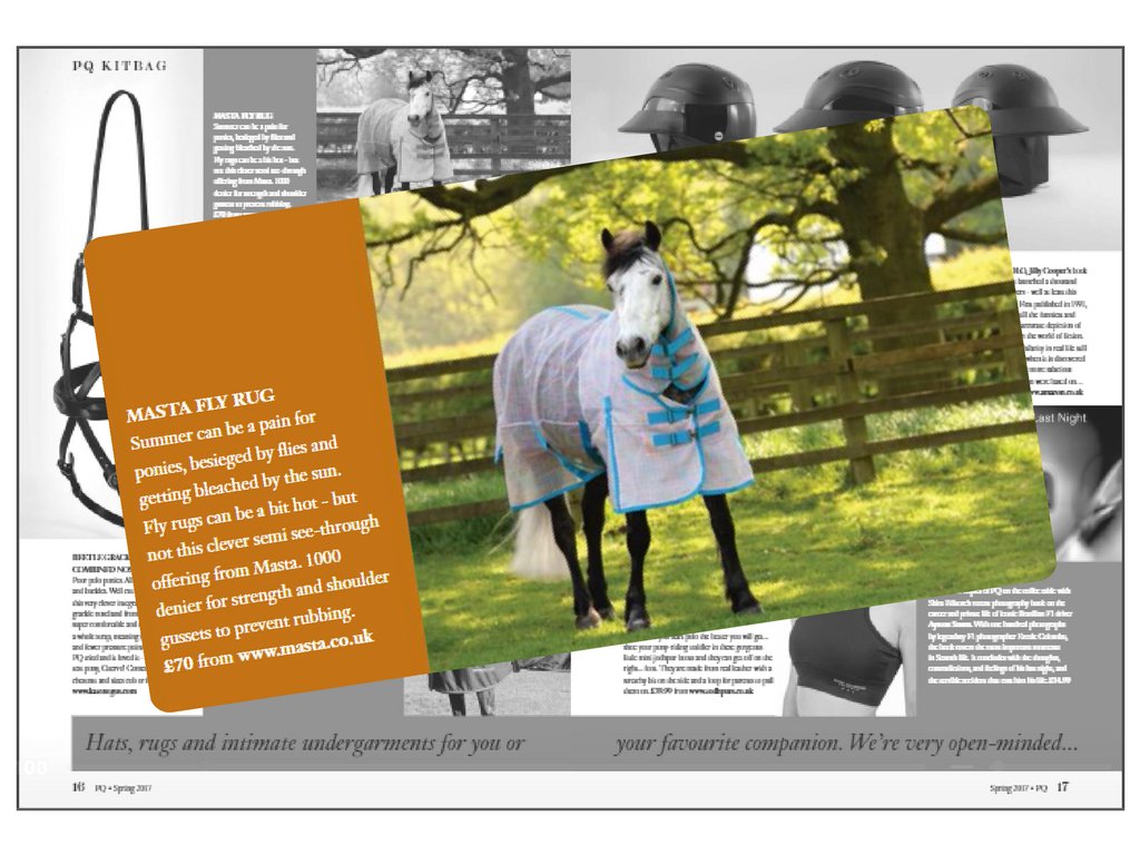 MastaRugs's tweet photo. "Fly rugs can be hot - but not this clever semi see-through offering from Masta" Our Rip Stop #FlyRug featured in @poloquarterly https://t.co/WPwzmO9L73