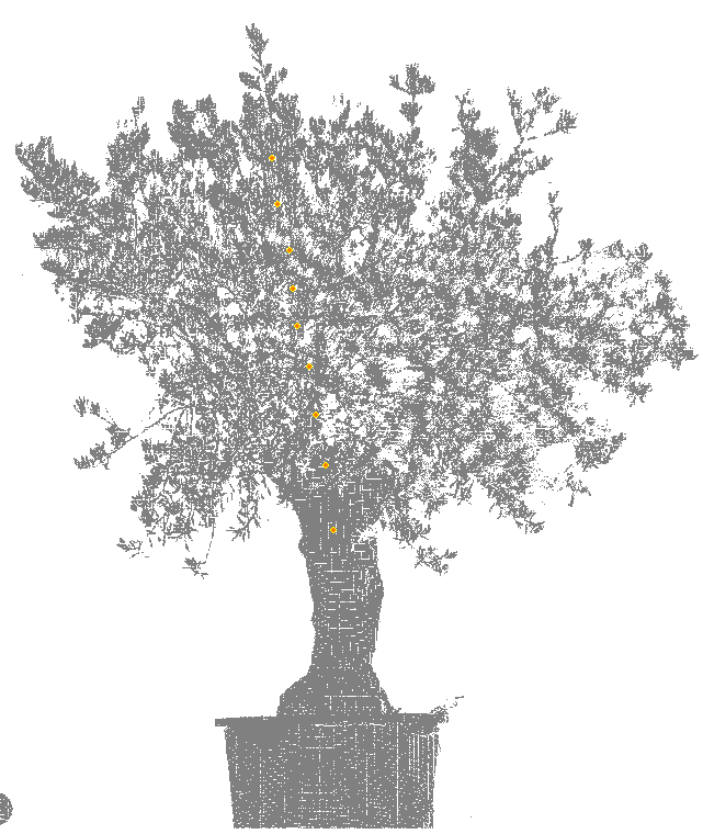 azlinszky's tweet photo. Somehow I always end up working on next #sleepingtree #LIDAR paper during the night! This beautiful #olive tree was the "doyen" of our setup https://t.co/X0QNnLWn3G