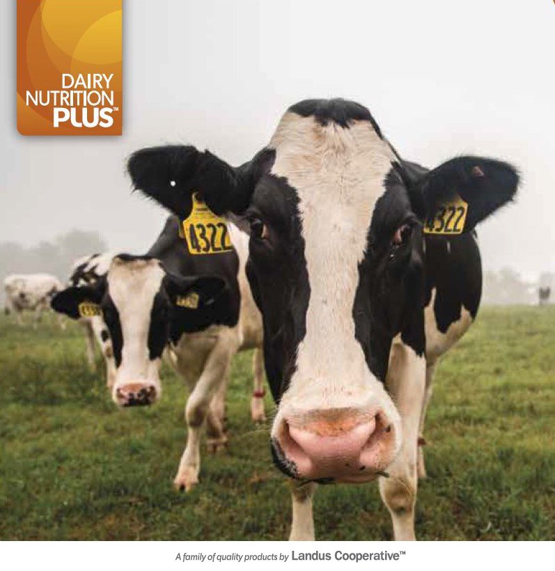 LandusAg's tweet photo. It's #DairyMonth and today is #WorldMilkDay. Did you know the #SoyPlus facility feeds 1 million dairy cows in a year? #happycows https://t.co/pGi7ccDBje