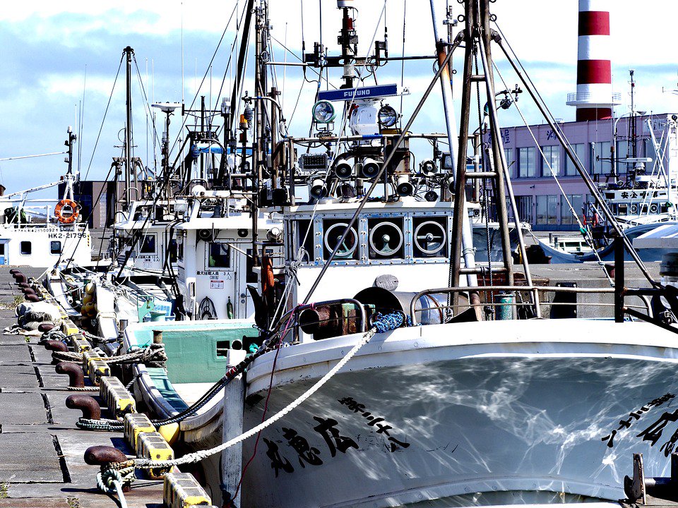CBE_MIIS's tweet photo. Illegal fishing = $36.4 billion annually = Serious threat to global peace and security. #BlueEconomy<>#SecureOceans  https://t.co/7KADTddufu https://t.co/uTLkVu2LRG