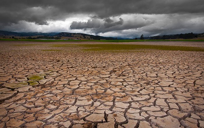 Rochester Topsoil tweet media