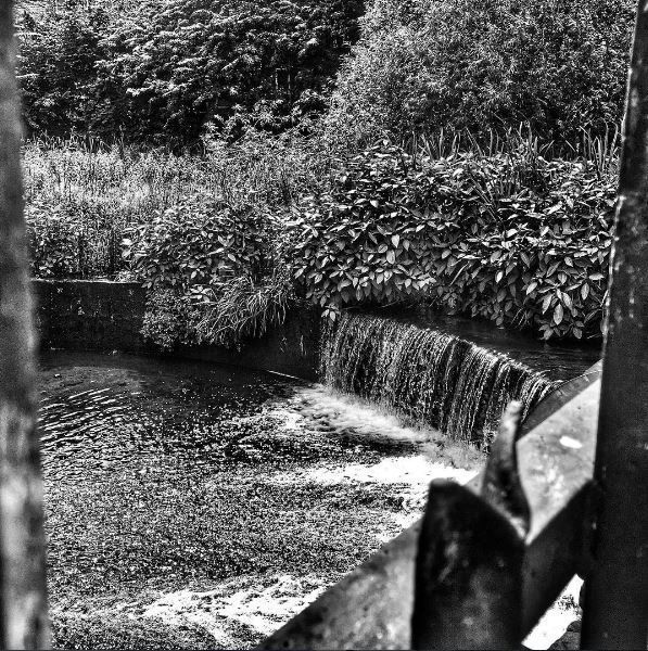 OurDerby's tweet photo. Markeaton Brooke over the railings. Where have you found beauty in unexpected places? #HiddenViews #Derby https://t.co/vkyP1lxRb5
