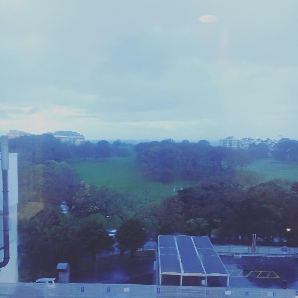 sjcnz's tweet photo. Bit of a wet view today. #roomwithaview #sjfightsms #multiplesclerosis #tysabri https://t.co/YluoKZvxZZ