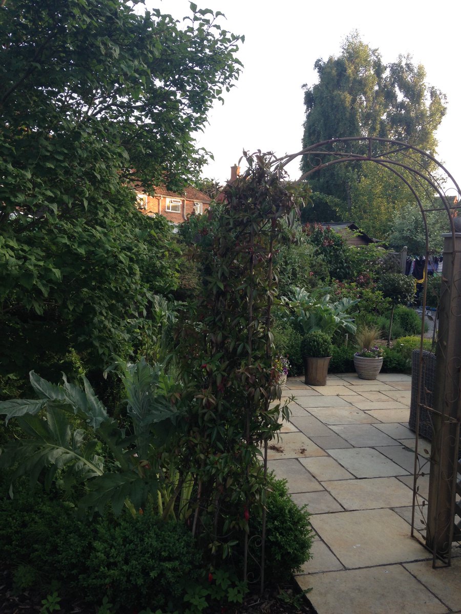 DanEstickTrust's tweet photo. The team are working hard, thought I'd share how amazing our garden still is 2yrs on. Thanks @LoveYourGarden2 https://t.co/pJCQN37zxj