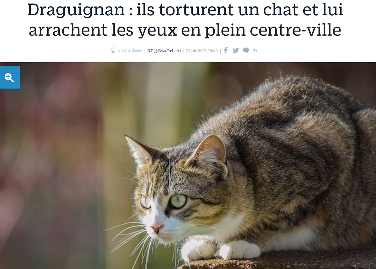 courbet_julien's tweet photo. Prière du soir : que ces connards paient cher très cher #honte https://t.co/RQwo7FaBsy