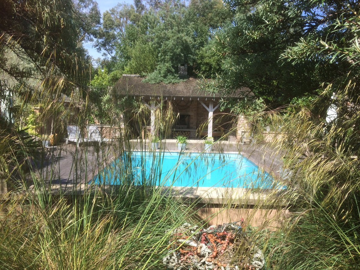 NGS Open garden #thelookout #lympstone. 2 (2-5pm) and 4 (2-6pm) June..so worth seeing x