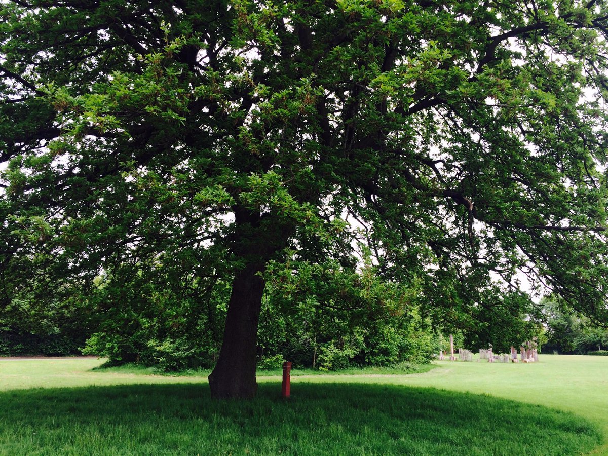 Summer solstice. Longest Day. 21st June. 4am till 11pm. Princes Park L8. Be there! foodforreal.co.uk  #foodforthemany #50SummersOfLove