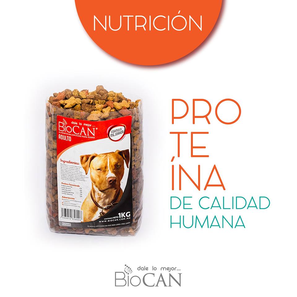 BiocanMx's tweet photo. ¡Cuida la salud de tu mascota! #Alimentalobien #SomosBiocan #Dalelomejor https://t.co/AkQRCqYCcm