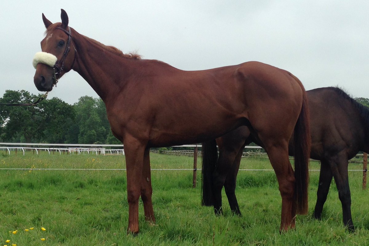 PrestRacingClub tweet picture