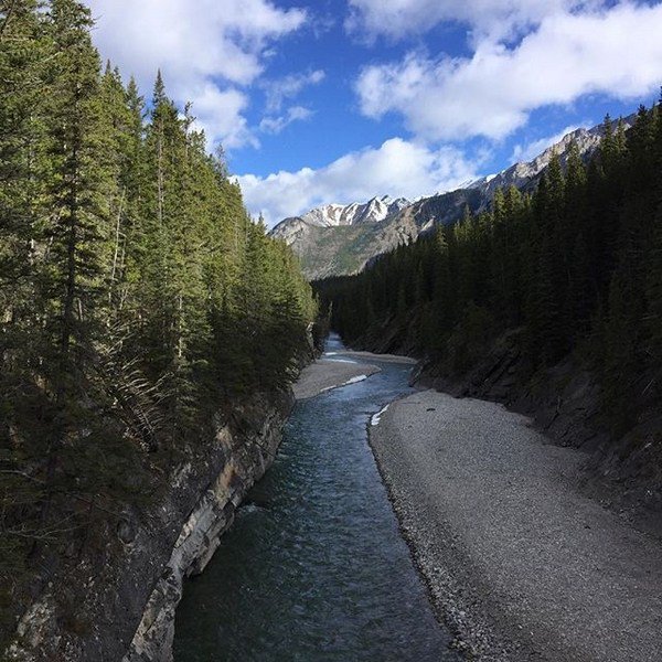 mtobsession's tweet image. Knievel’s Wild Adventures: The Grizzlies of Minnewanka mountainobsession.com/knievels-wild-…