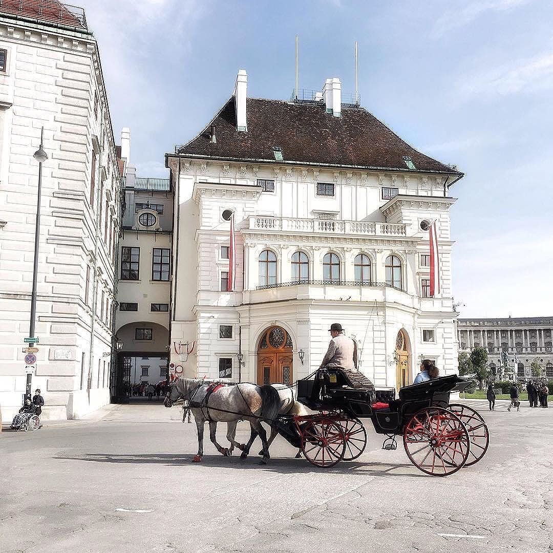 ask_local's tweet image. This reminds me of those English classics. Feels like a scene straight out of a Jane Austen Novel.
#asklocal #travel #vienna #beautiful