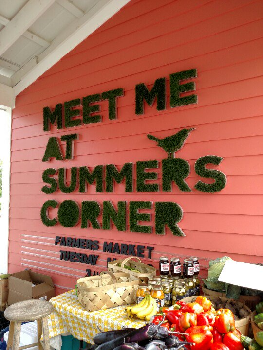 sleepybluekitty's tweet photo. This wander takes us to Summers Corner #farmersmarket!
#travelblogger #wanderlust #summerscorner https://t.co/jyD8opGMYN