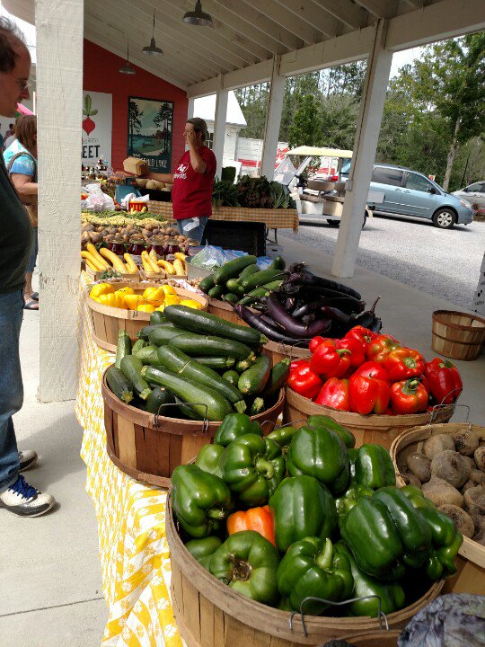 sleepybluekitty's tweet photo. The produce here is direct from South Carolina farms, looks so good ππ±π
#wanderlust #travelblogger #summerscorner #farmersmarket https://t.co/WLqdlUZg9O