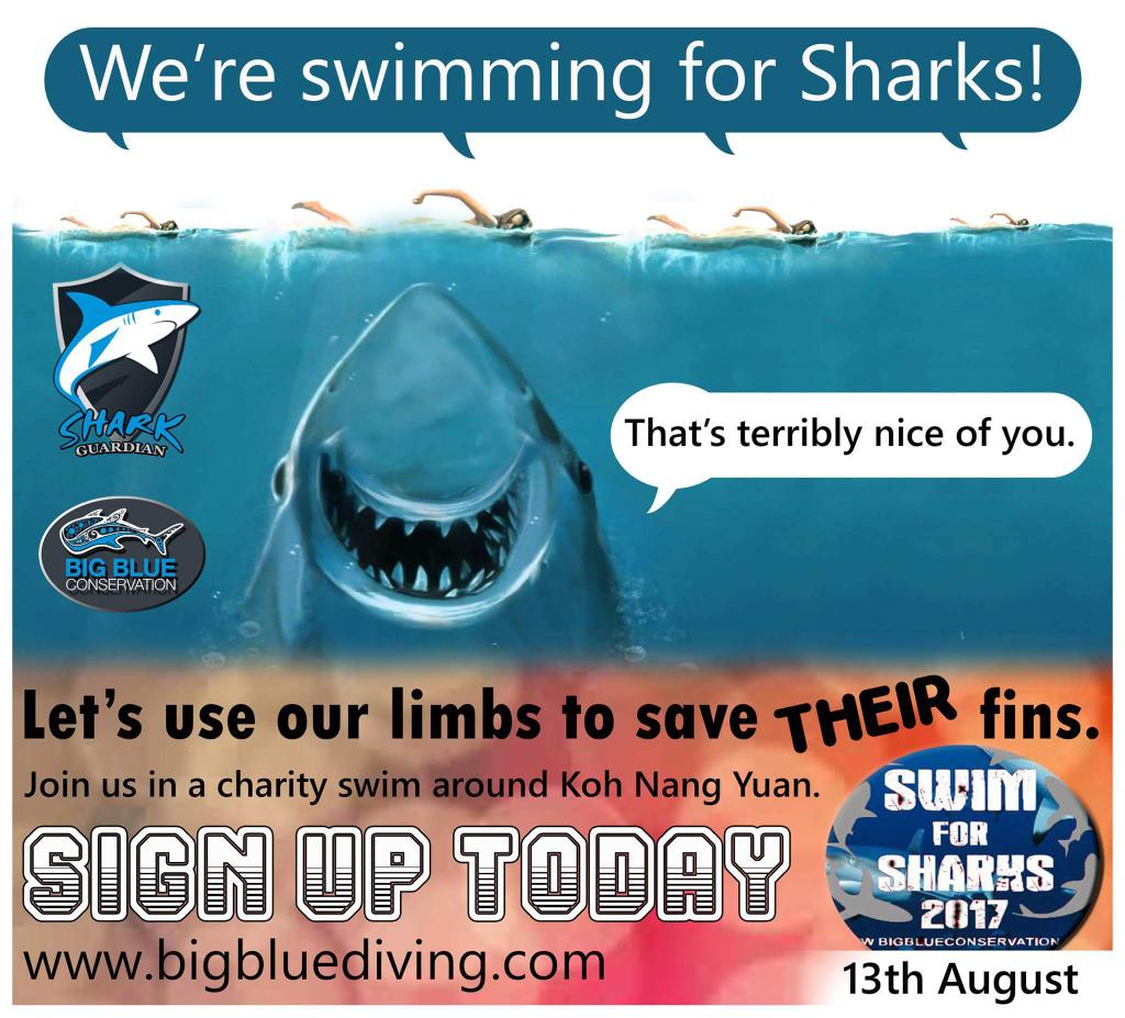 phil_fishlad's tweet photo. #bigbluediving #swimforsharks https://t.co/8oF21WVlGQ