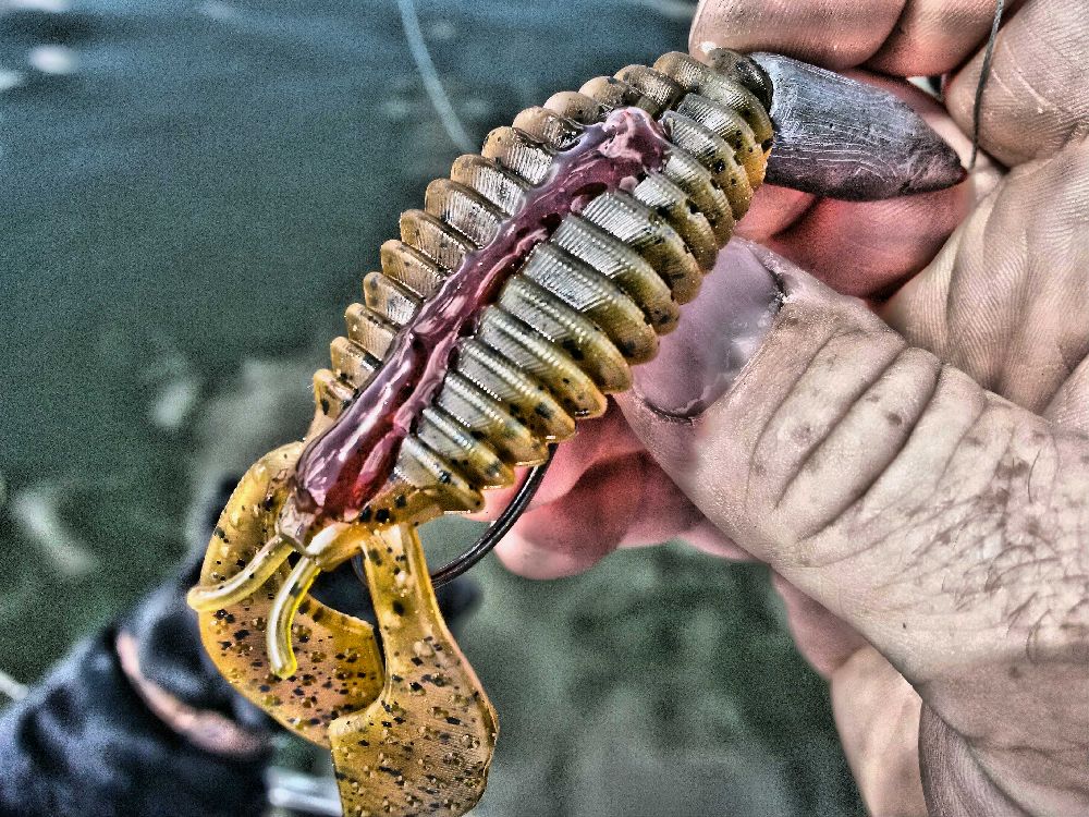 CanuckBassin's tweet photo. Two weeks and I can start punchin some @Anglers_Choice #FlappinWeasles and @LiquidMayhem_ #Crawlic https://t.co/XxZy2rQvNE