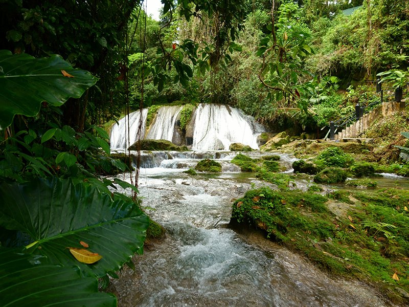 VisitJamaicaNow tweet picture