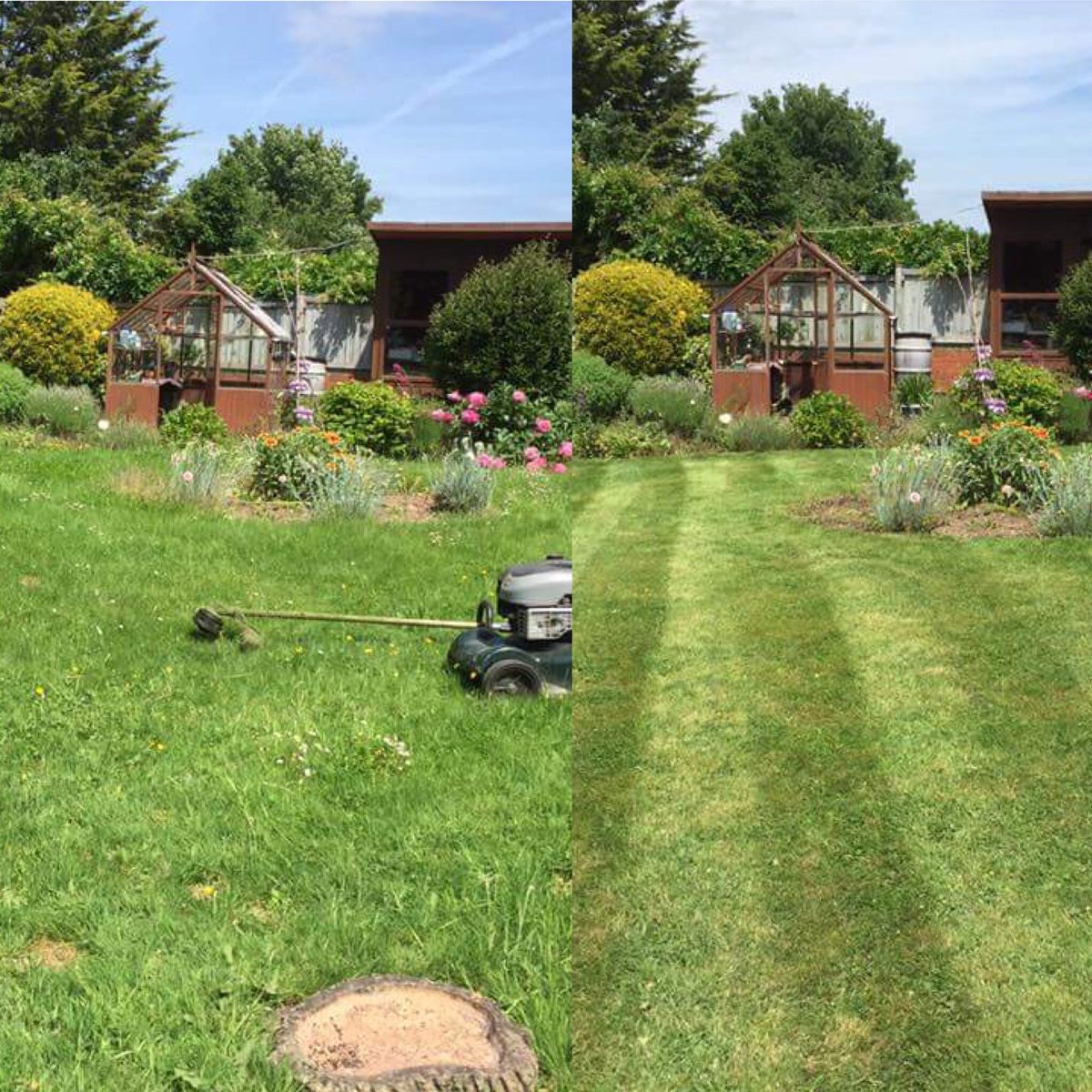 weedsgm's tweet photo. Another happy client... one over grown garden restored... well the grass anyway watch this space for the rest of the garden https://t.co/YhM2FOKtAX