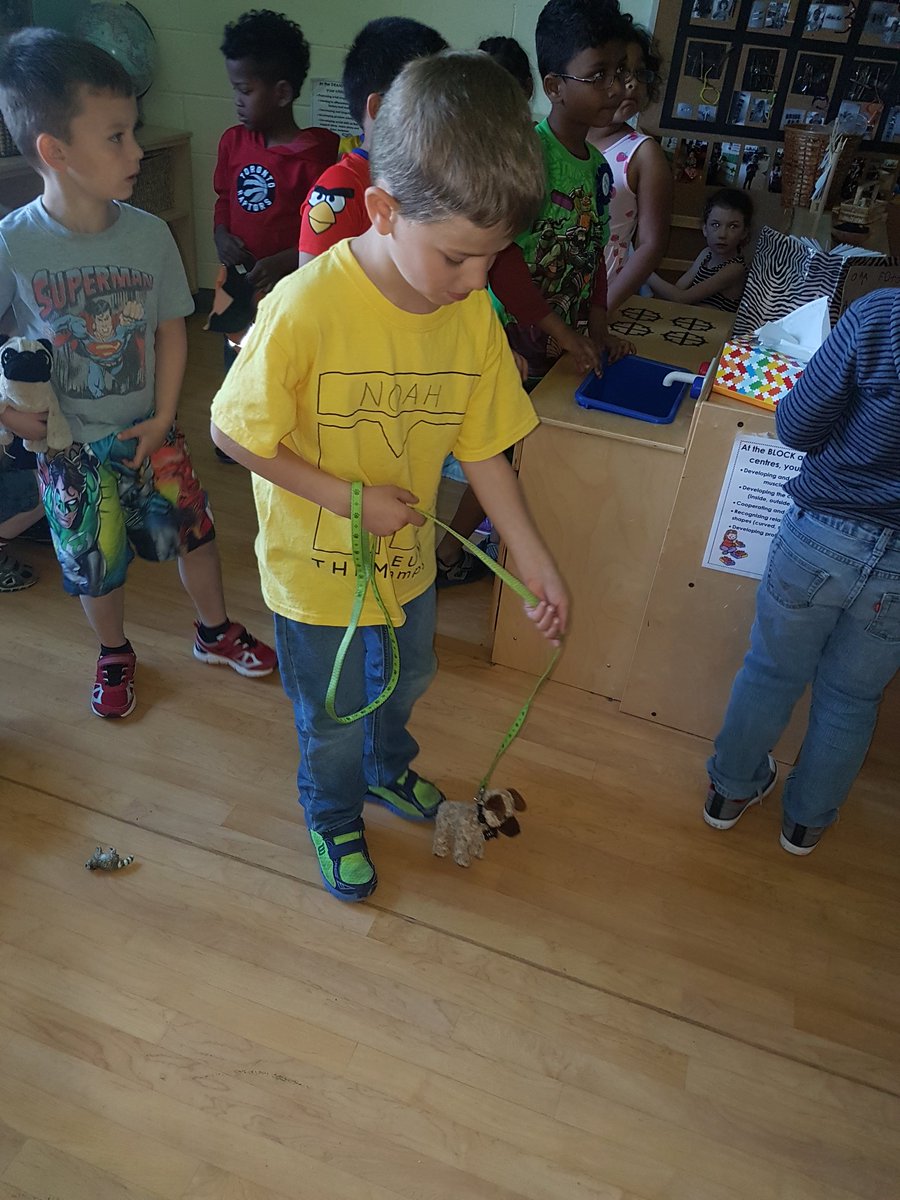 AlainaStandring's tweet photo. Students voted to transform our #dramaticplay centre into a Pet Shop! We discussed the items to keep, add and remove. #cocreatedlearning https://t.co/h60MXz7EsX