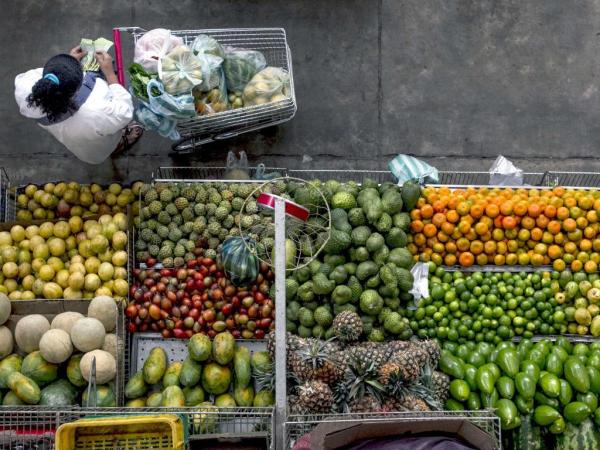 loralena's tweet image. Estas frutas e legumes podem envenená-lo
crwd.fr/2rqkh7c