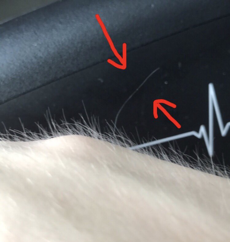 Robertidk On Twitter Do You Ever Randomly Find One Super Long