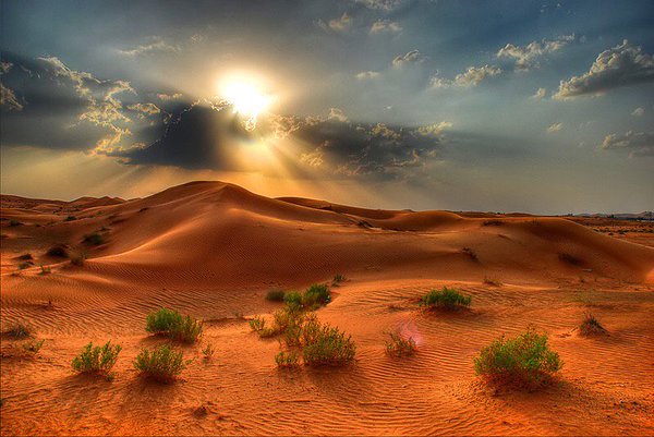 #RT
#FollowBack
#gallery
#travel 
#travelphotography 
#photography #art
#MGWV
#photo  #photographer 
#Fotografía
#sunset
#wonderworld