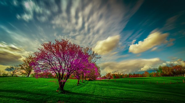 #RT
#FollowBack
#gallery
#travel 
#travelphotography 
#photography #art
#MGWV
#photo  #photographer 
#Fotografía
#sunset
#wonderworld