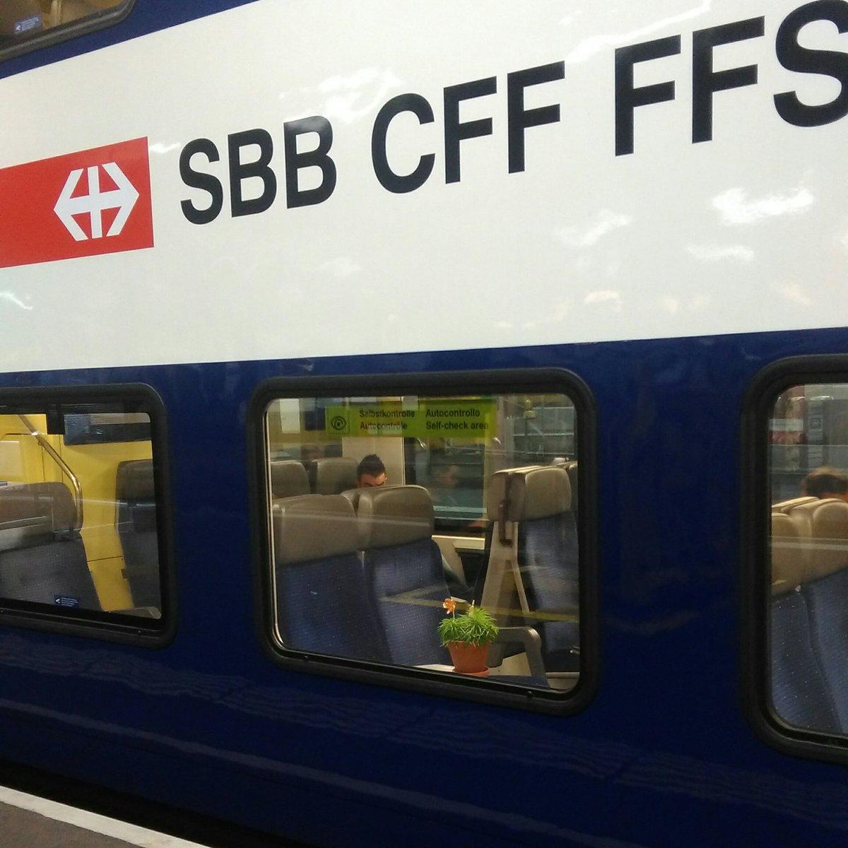 murschetg's tweet photo. «Zuhause unterwegs.»
«A casa sin viadi.»
@sbbnews #sbb #sbbcffffsvfs
#ichmagzüge #fenstersims #flura #schweiz #suisse #svizzera #svizra https://t.co/OutXKkIJ3p