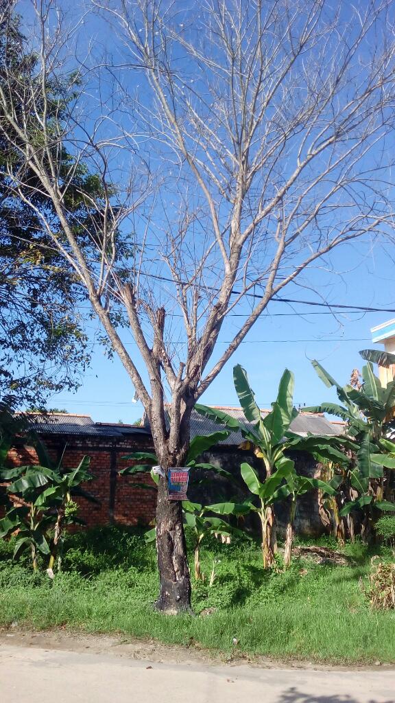 BayuSUWARSO's tweet photo. Oknum yg menyebabkan kematianmu https://t.co/4w5pXkxvRC