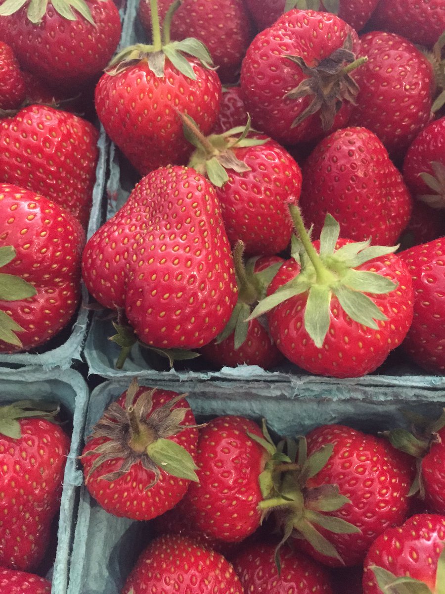 Drool <a href="/KeepItLocalCLE/">Keep It Local Cleveland</a> <a href="/joecimperman/">joecimperman</a> @RittmanOrchards fresh delivery 😍