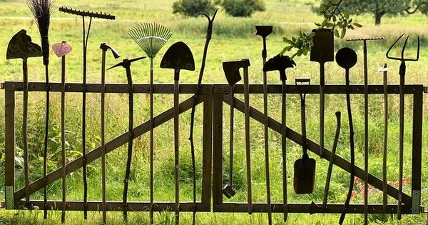 LifeSprouting's tweet image. Find out what an hour of gardening does this to your body! buff.ly/2qGQfrS