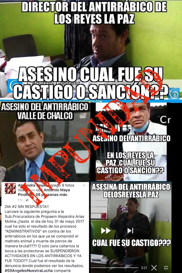 Buscando1amigo's tweet photo. D2 Su respuesta @aleariasmolina? @propaem_sma?/ @ErnestoSispa @alezazulyoro @Eliza_SotoP @UribeMerle @SylviaPasquel @DefensaAnimal @APASDEM https://t.co/qaPCI89nUY